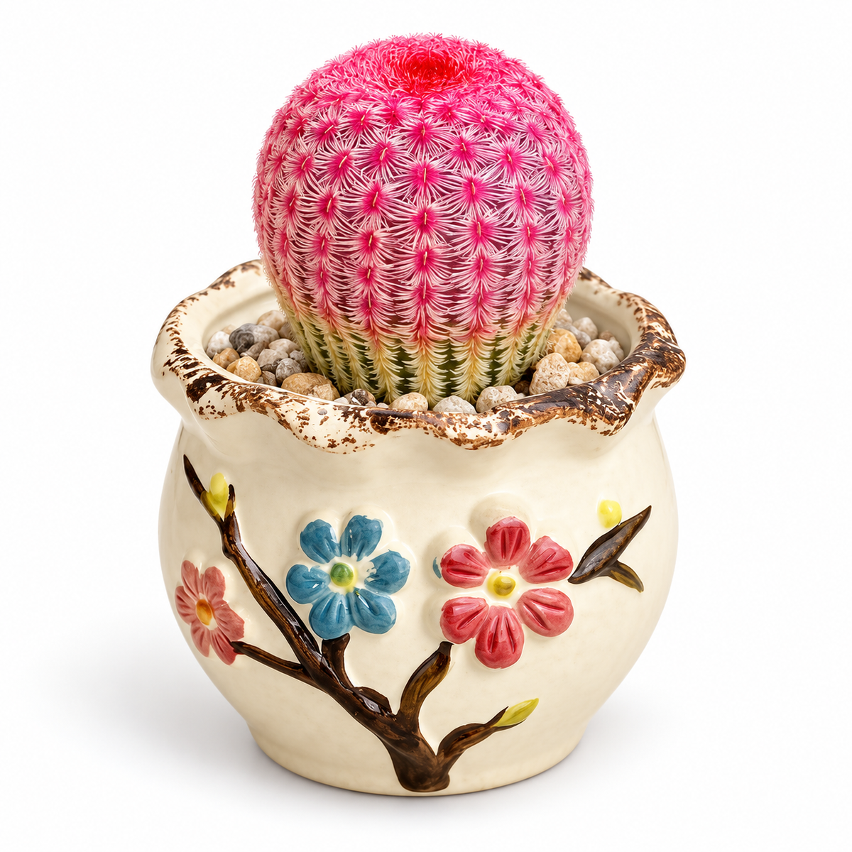 Mystery Succulent Plant – A Surprise Pick Just for You