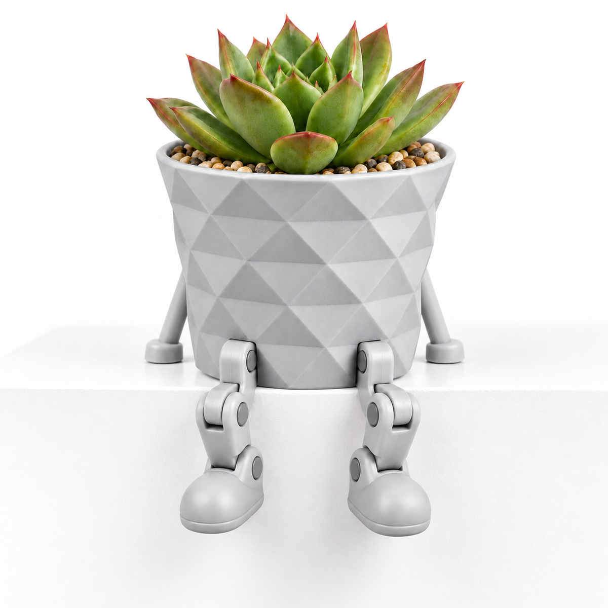 🌿 Leggy Succulent Planter – Cute Plant Pot with Little Legs for Desk & Home Decor