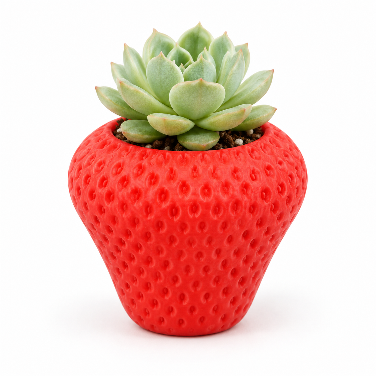 🍓 Strawberry Succulent Planter – Cute Fruit-Shaped Pot for Home & Desk Decor