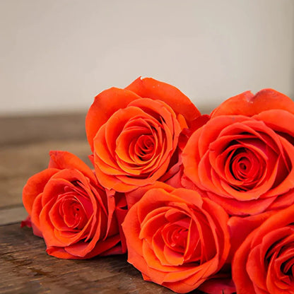 Rare Orange Rose Seeds – Beautiful Orange Roses for Your Garden