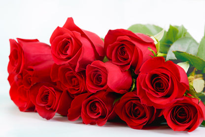 Red Rose Seeds – Grow Timeless Fragrant Roses in Your Garden
